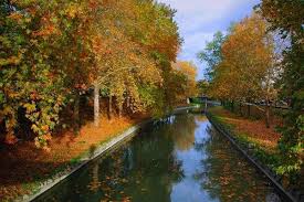urbanriver
